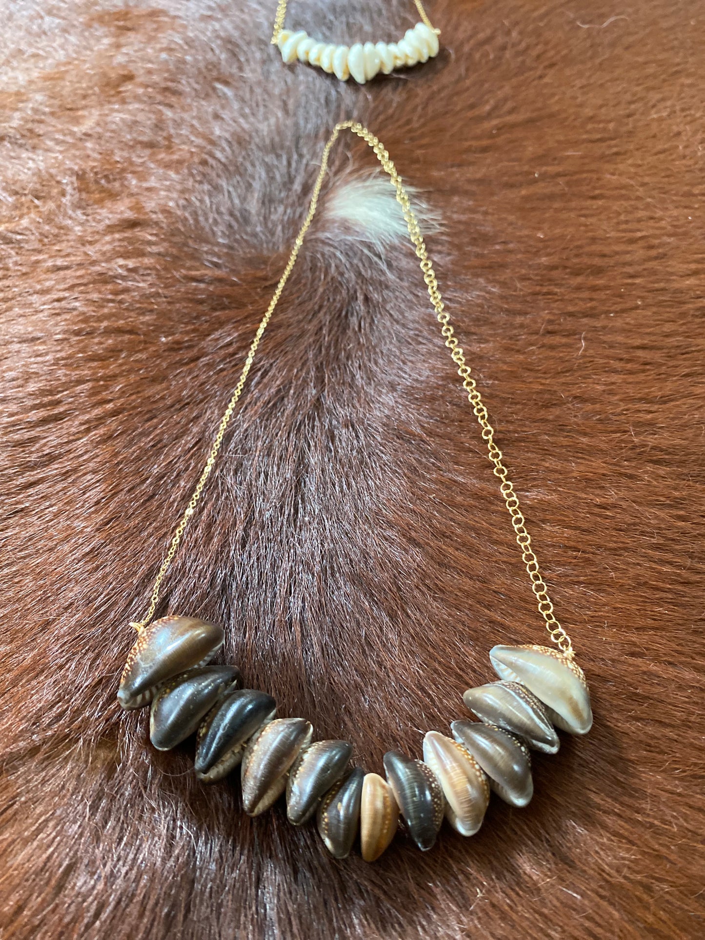 Necklace•Cowrie Shell V-Shaped•Brown