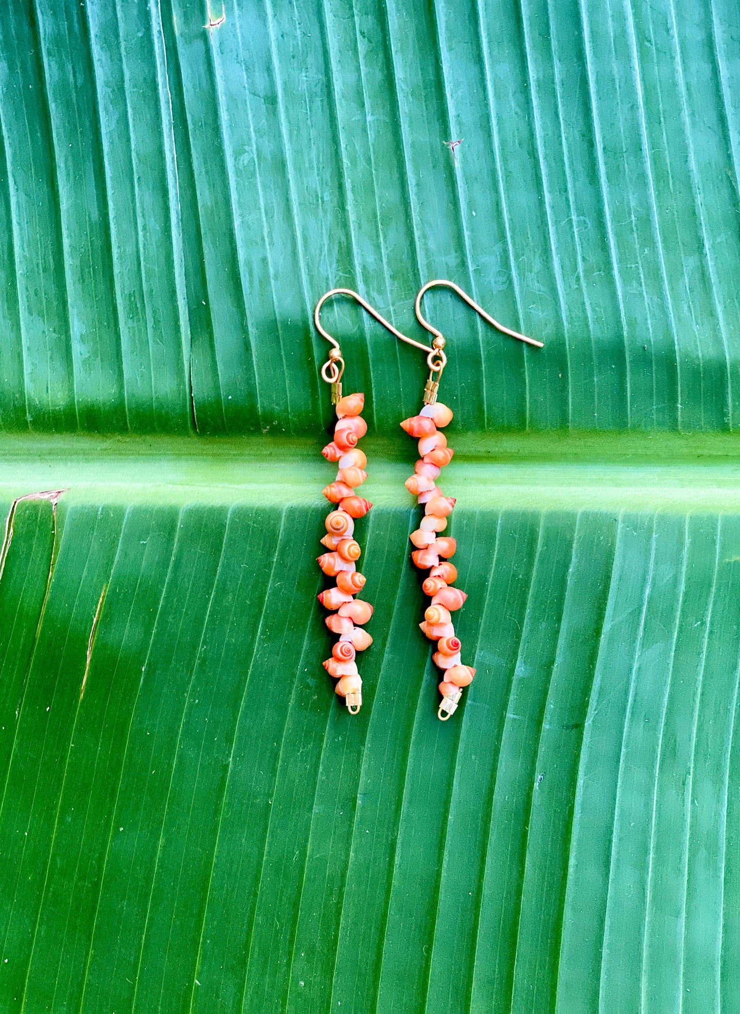 Earrings•Mongo Shells• Coral•Small