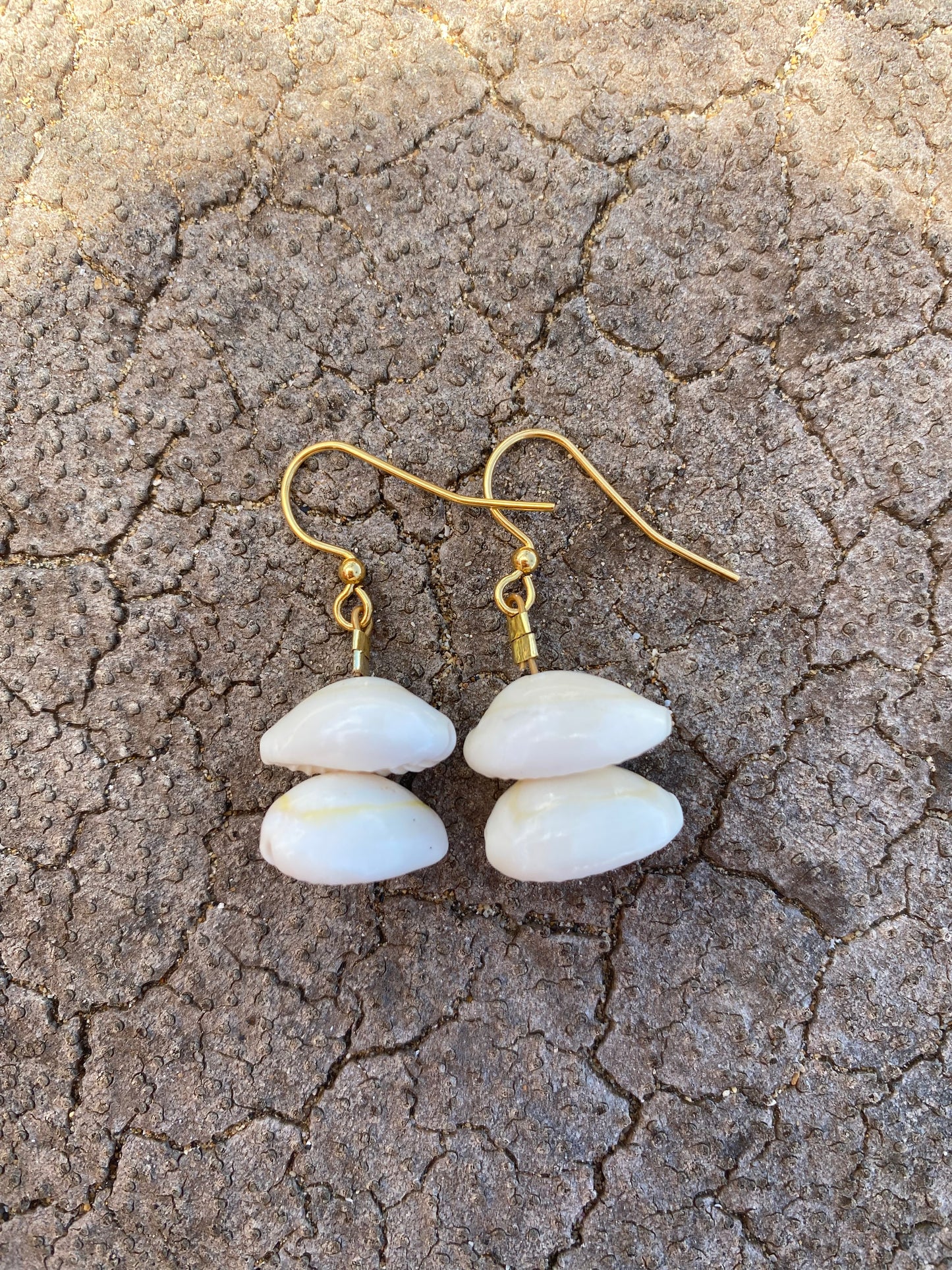 Earrings•Cowrie Ikaika•Extra Small