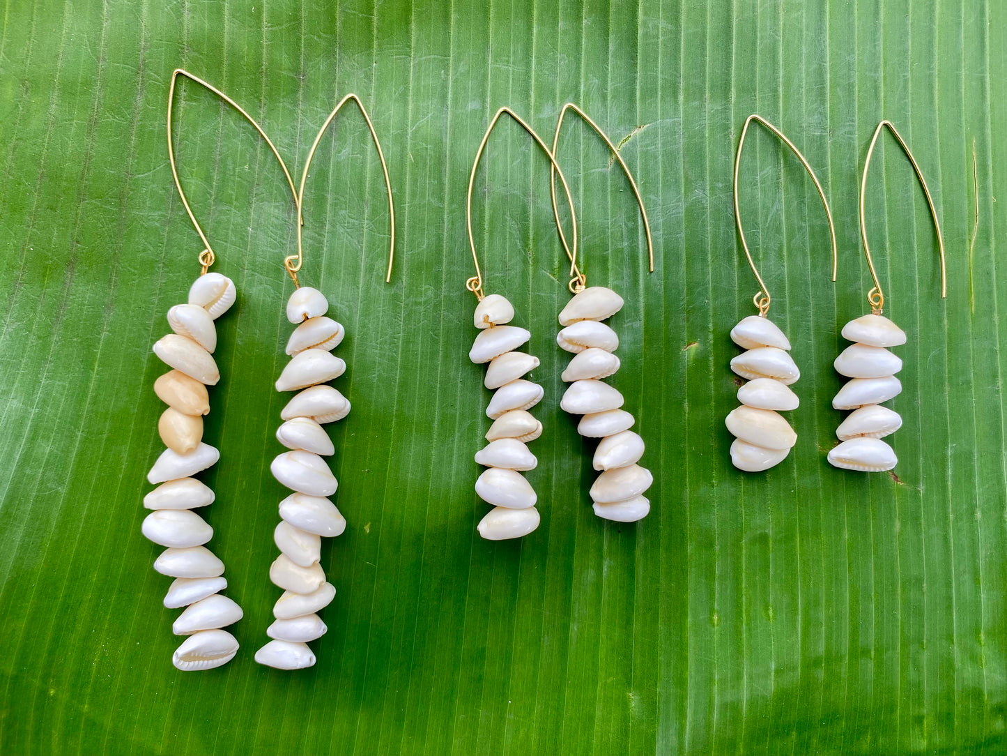 Earrings•Cowrie Ikaika with Marquise Ear wire•Medium