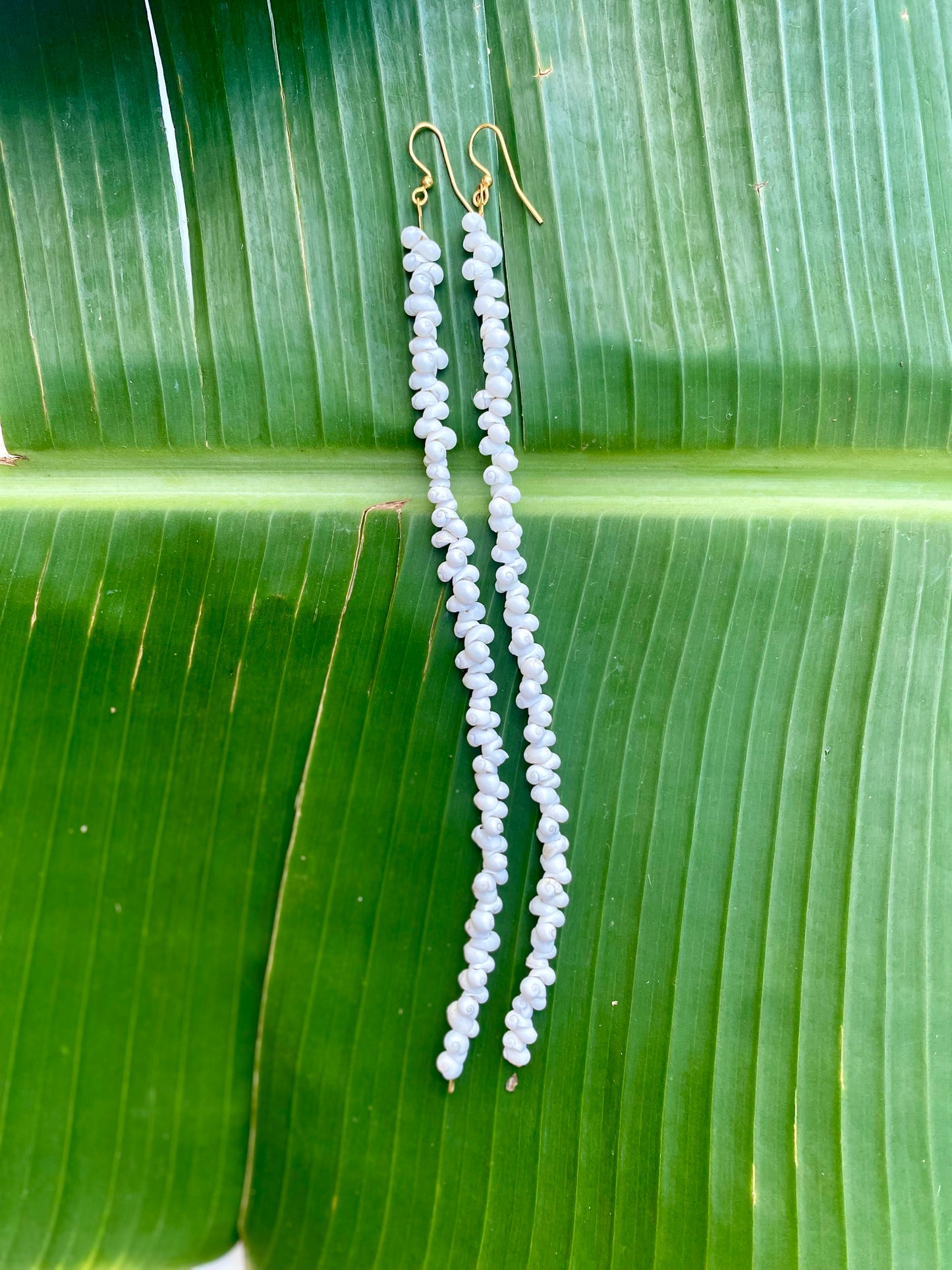 Earrings•Mongo Shells• White•Extra Long