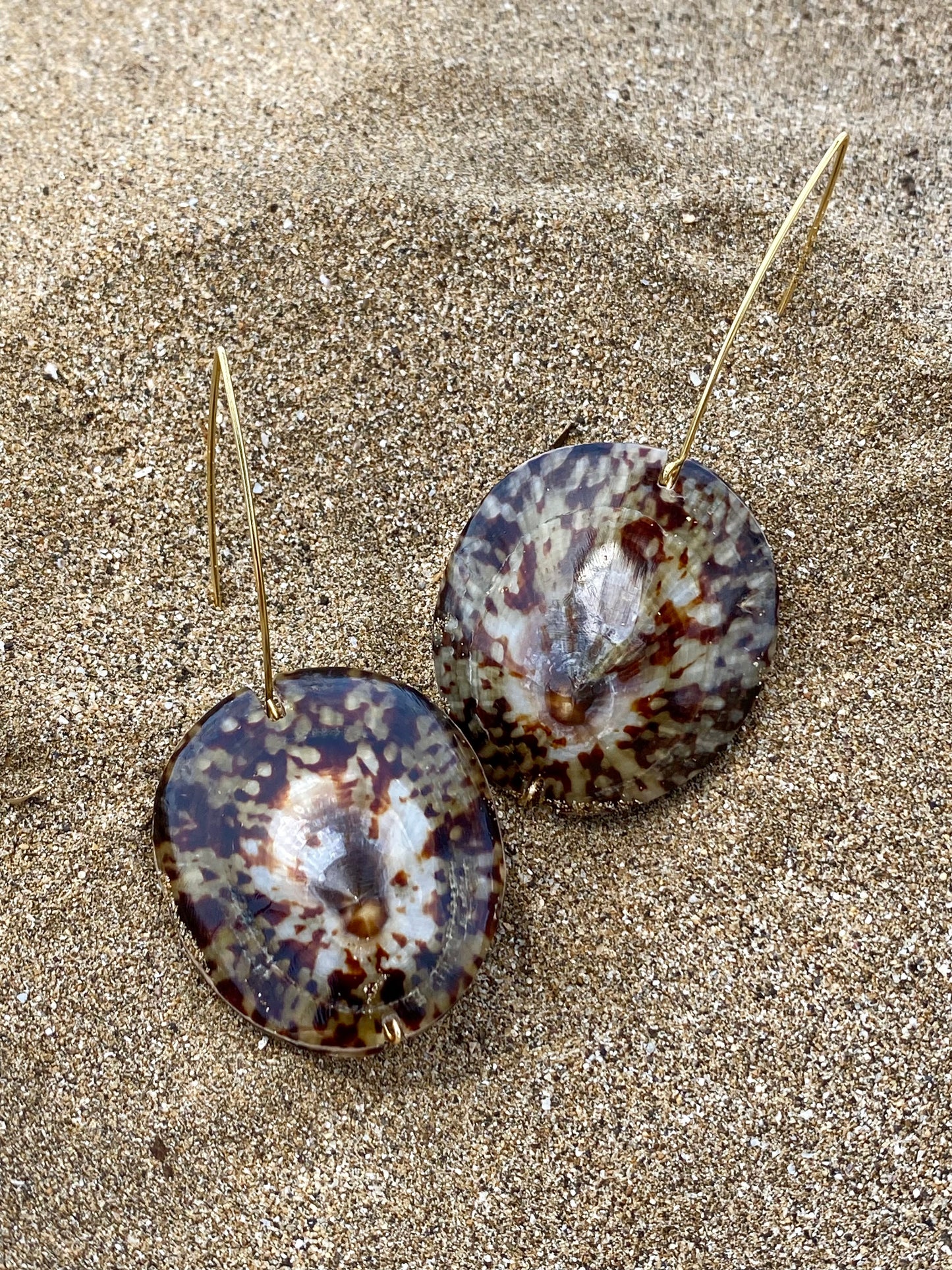 Earrings•Opihi Polished with Marquise Ear Wires