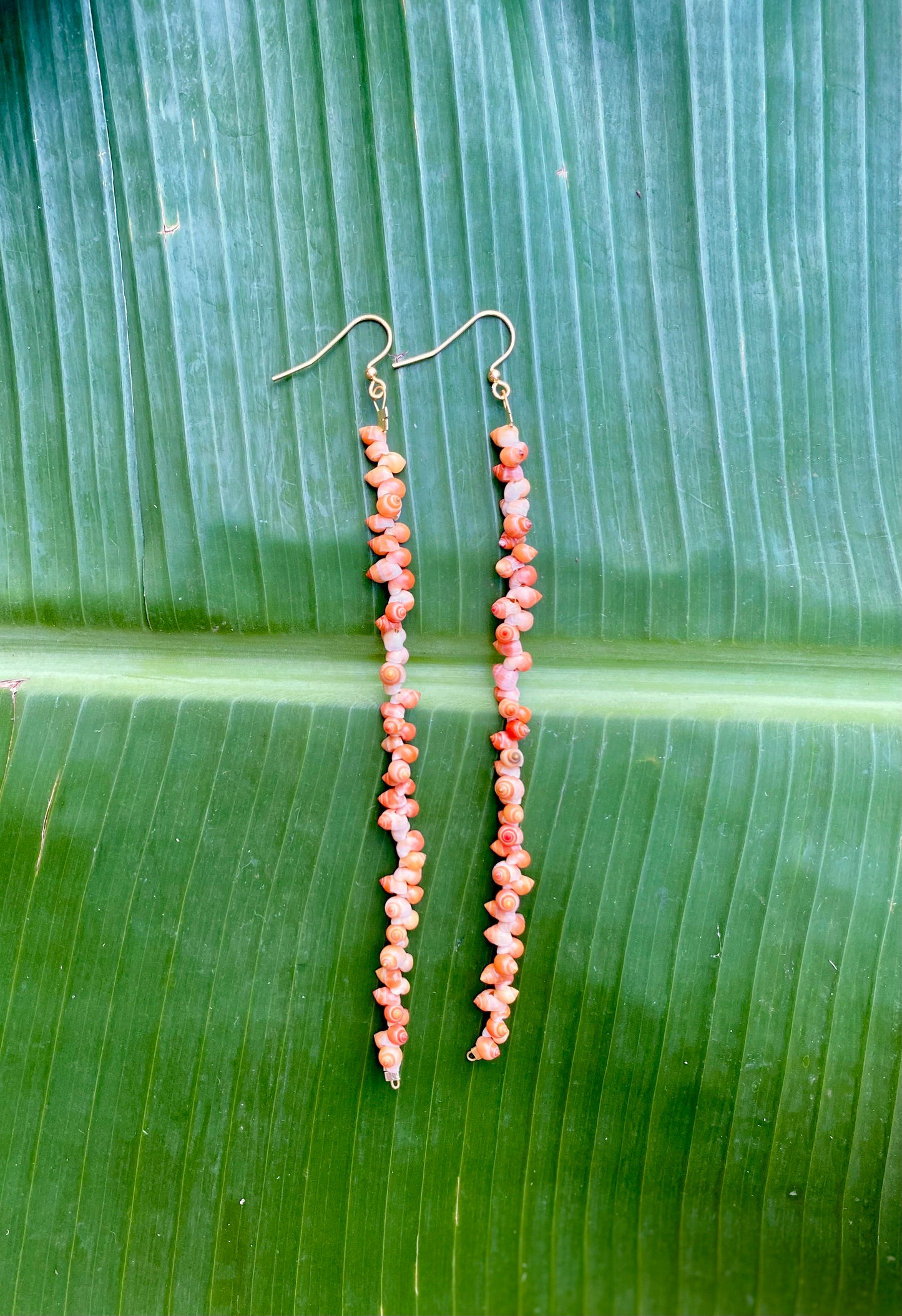 Earrings•Mongo Shells• Coral•Large