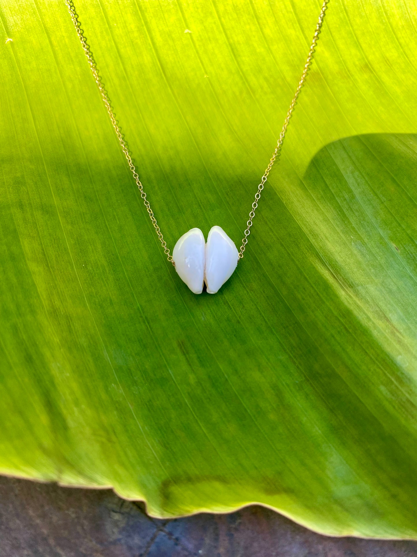 Necklace•Kissing Cowries