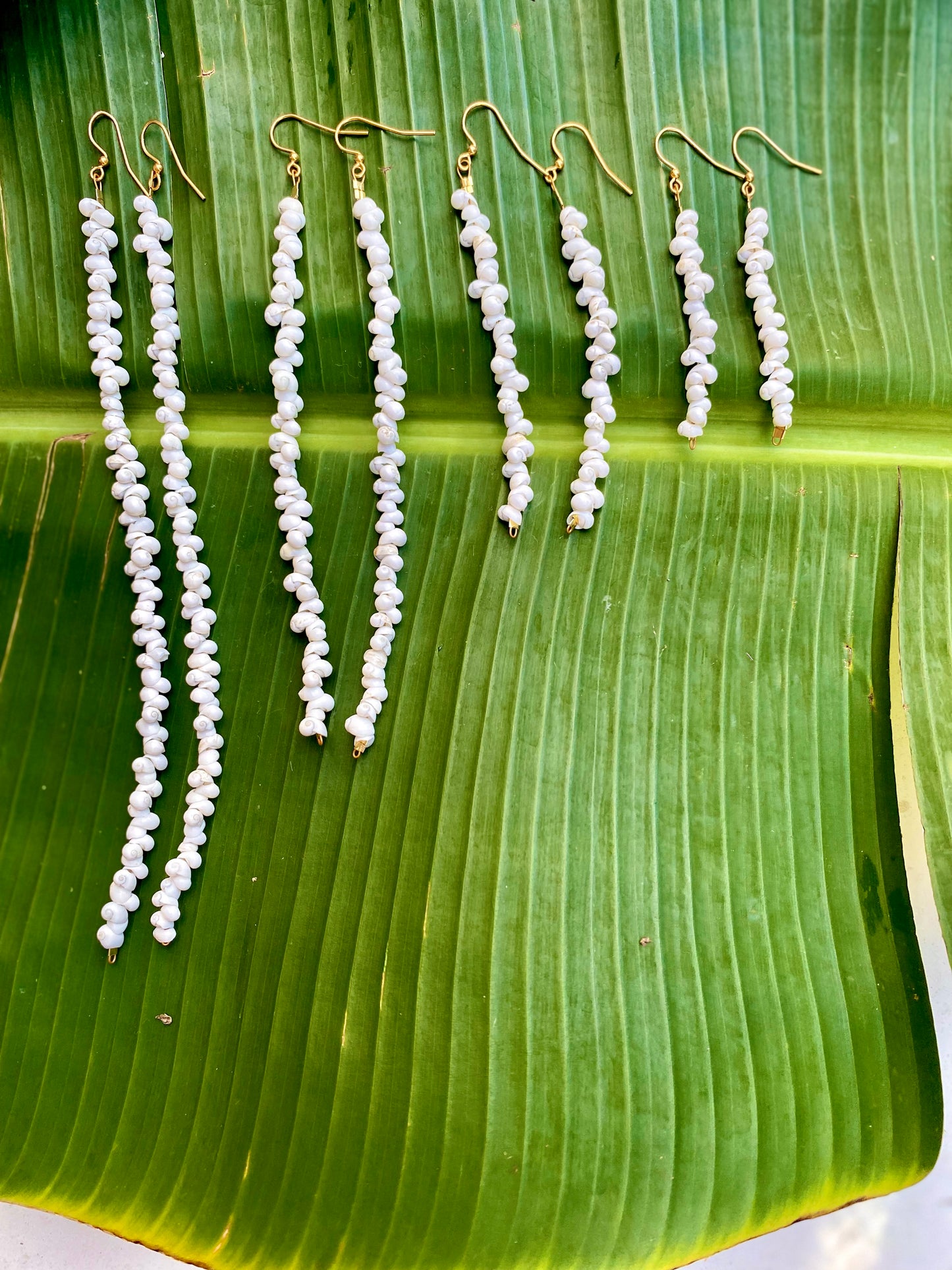 Earrings•Mongo Shells• White•Small