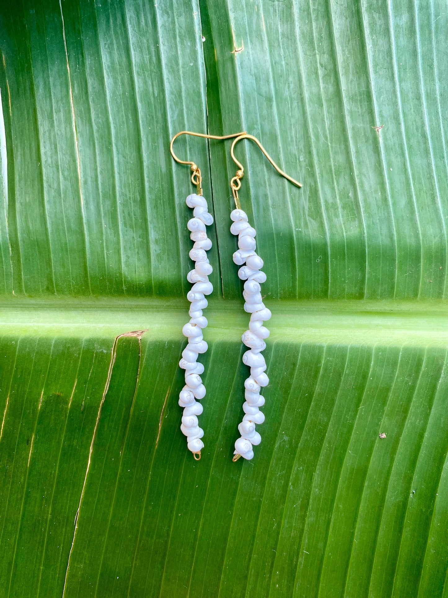 Earrings•Mongo Shells• White•Medium