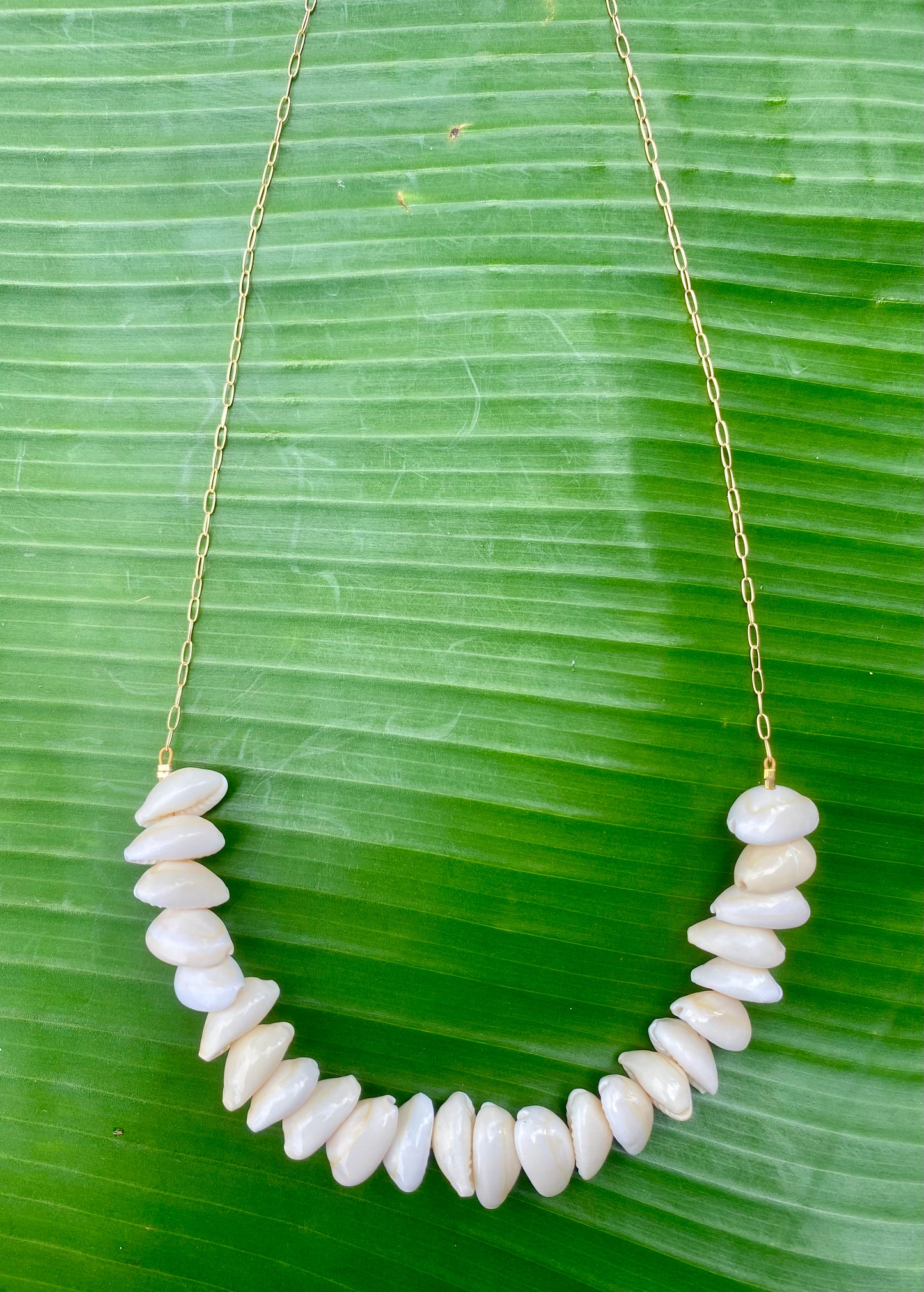 Necklace•Cowrie Shell with Paperclip Chain