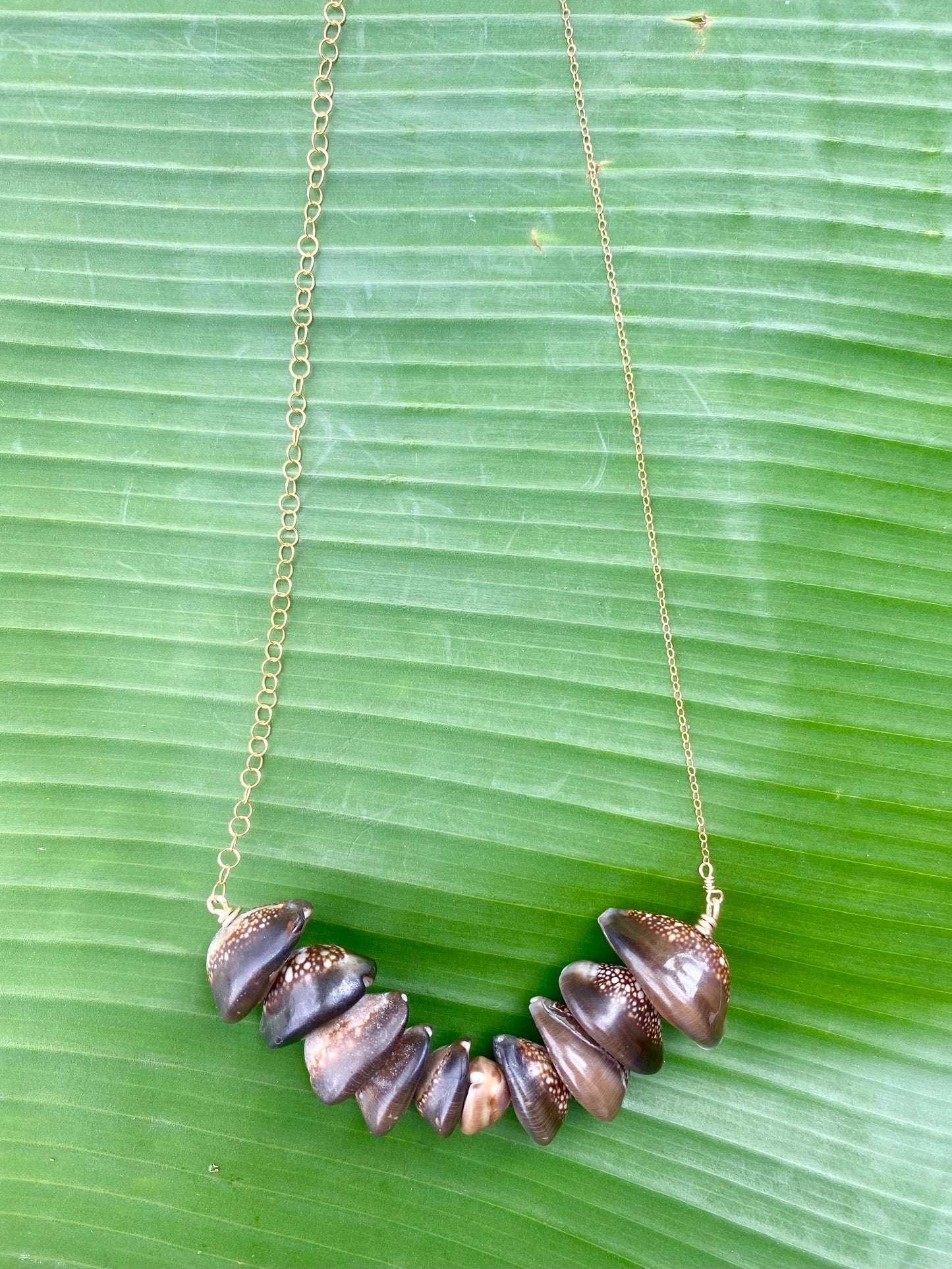 Necklace•Cowrie Shell V-Shaped•Brown