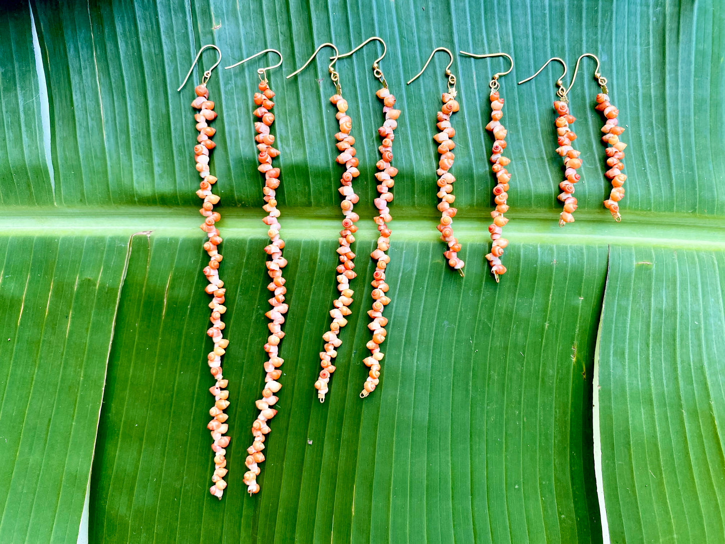 Earrings•Mongo Shells• Coral•Large