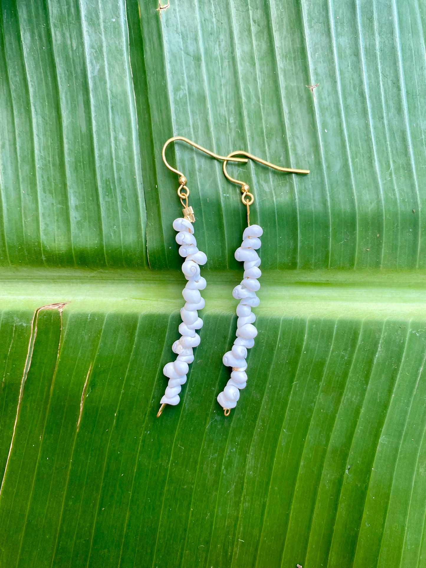 Earrings•Mongo Shells• White•Small