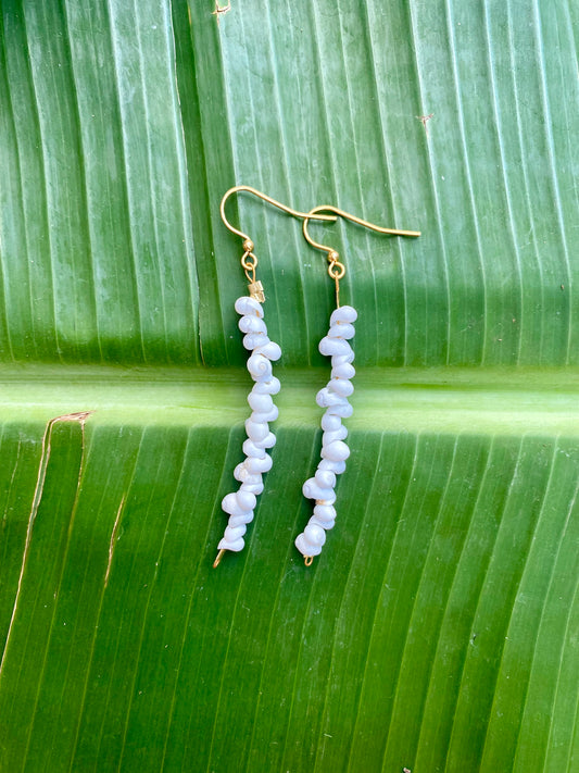 Earrings•Mongo Shells• White•Small