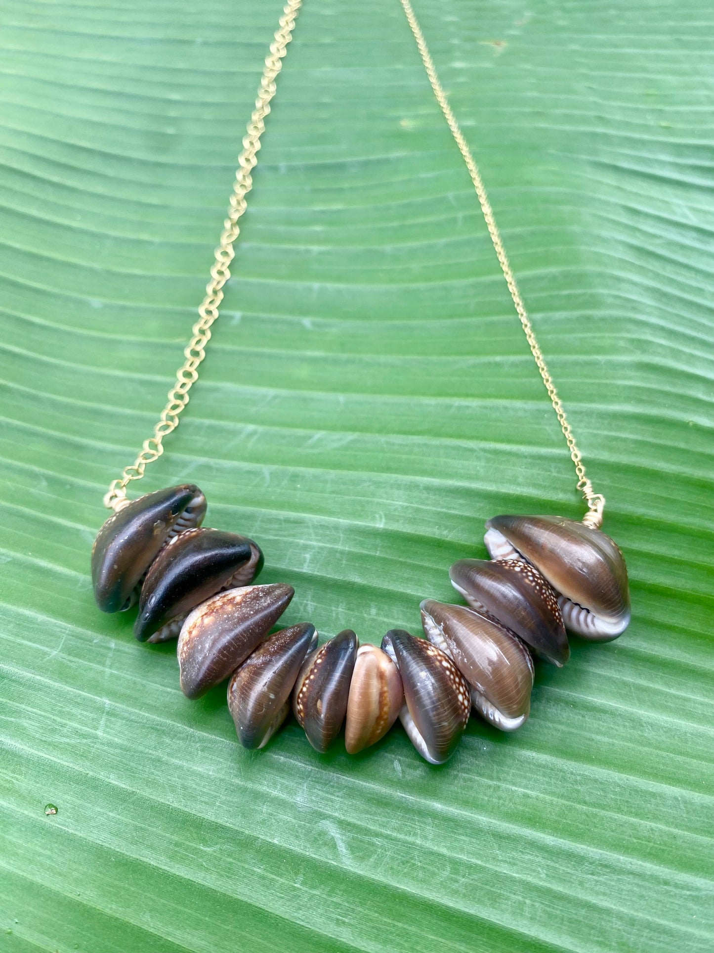 Necklace•Cowrie Shell V-Shaped•Brown