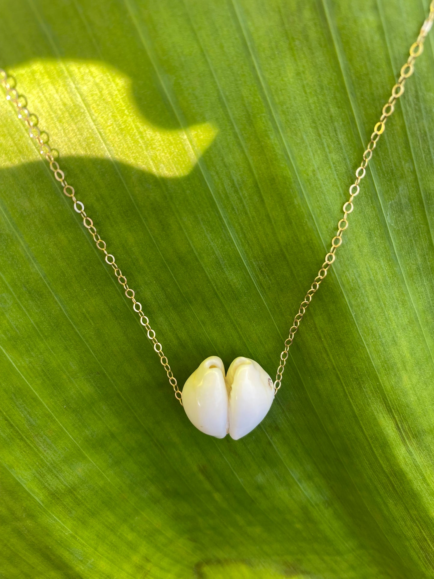 Necklace•Kissing Cowries