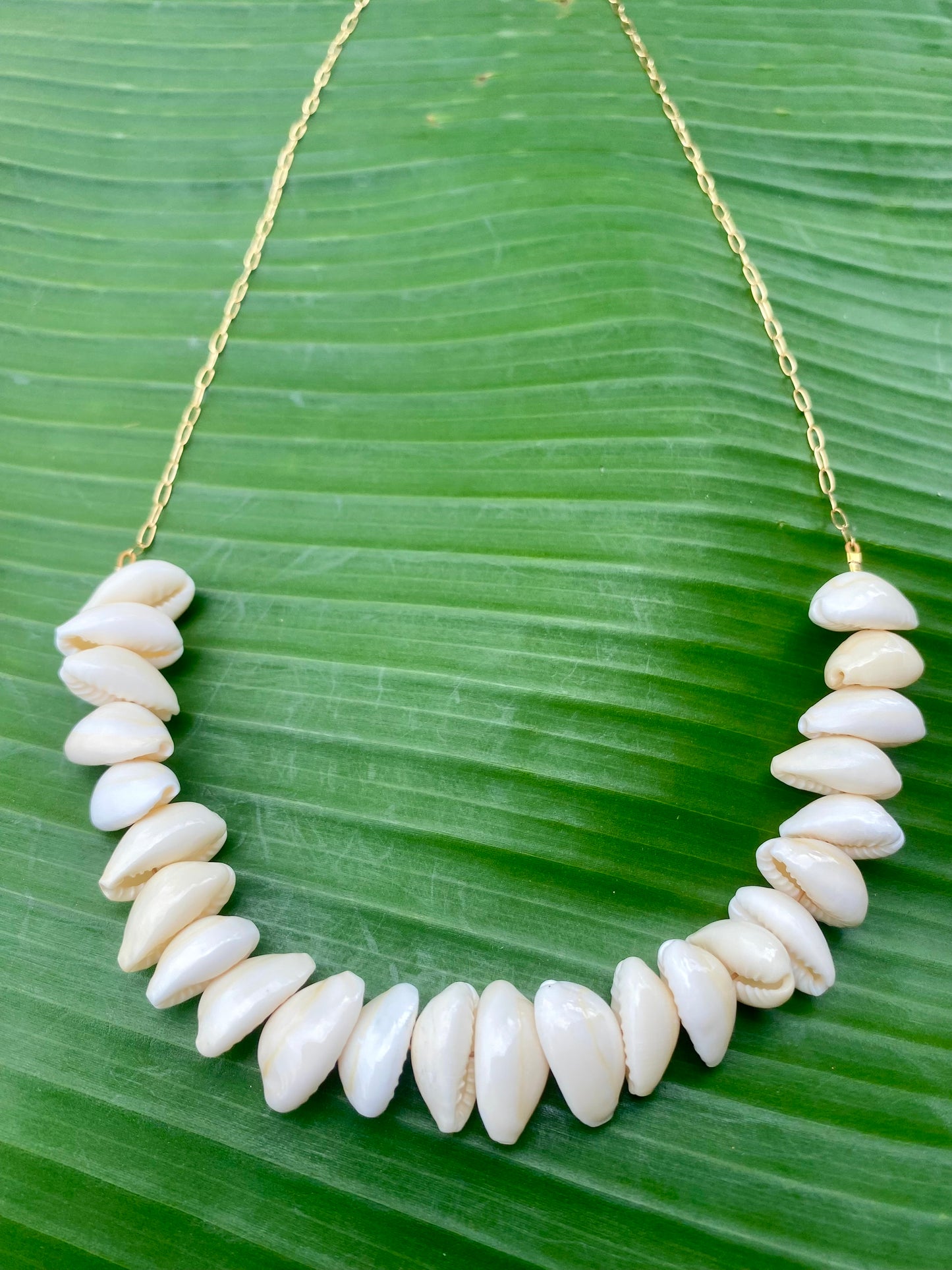 Necklace•Cowrie Shell with Paperclip Chain