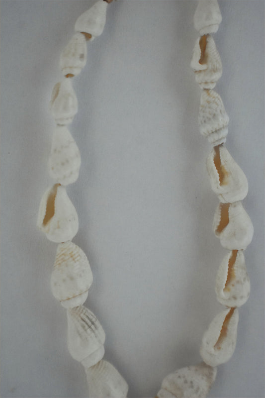 kai kea shell earrings