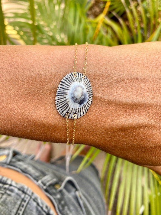 Bracelet•Opihi Shell