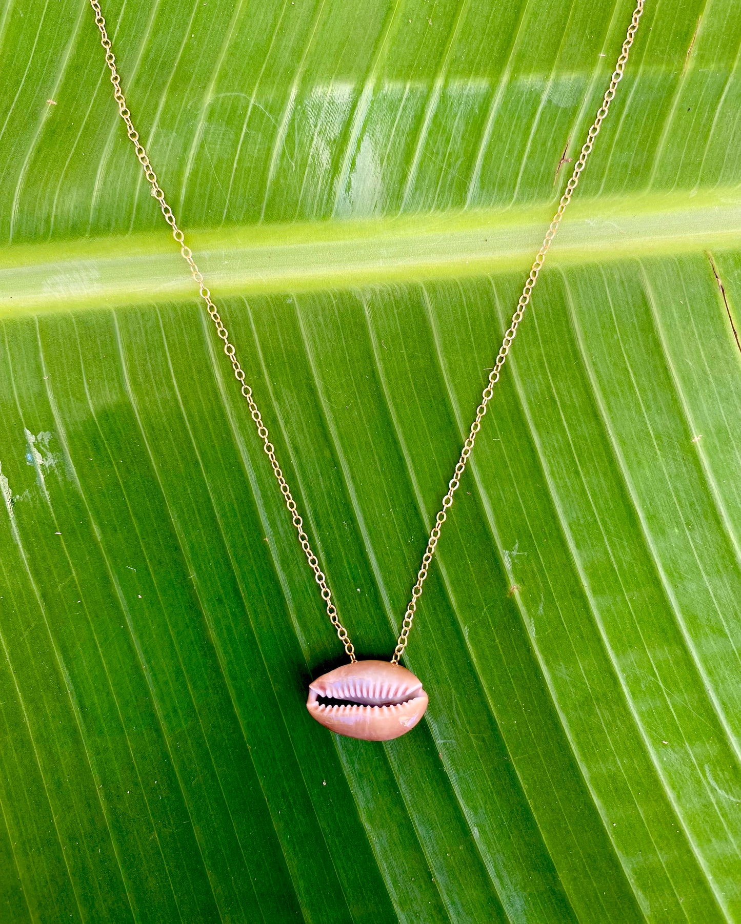 Necklace•Cowrie Shell•Brown