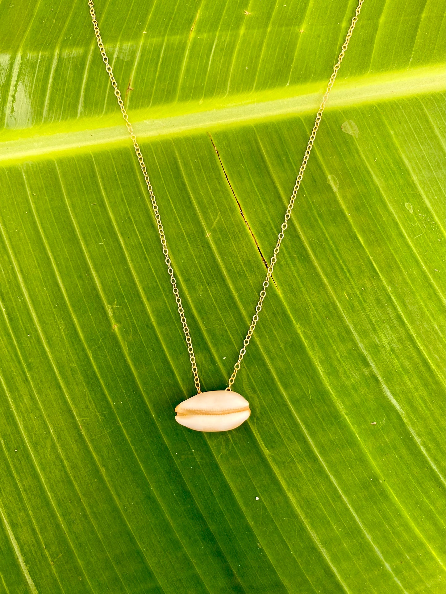 Necklace•Isabella Cowrie Shell•Tan