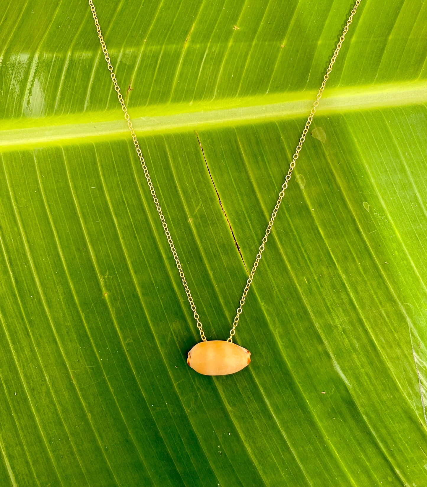 Necklace•Isabella Cowrie Shell•Tan