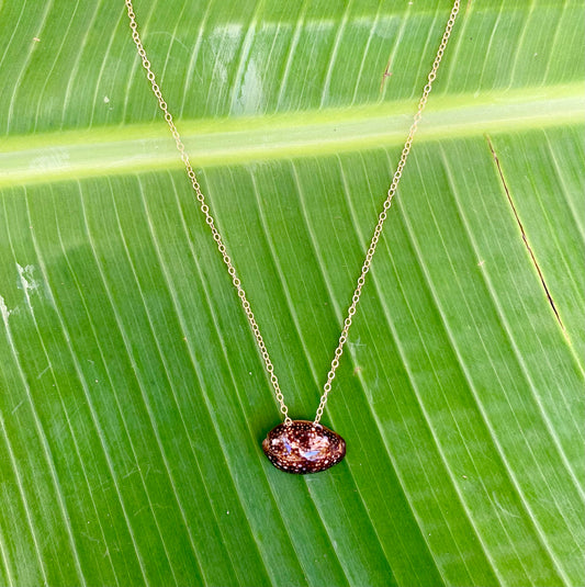 Necklace•Cowrie Shell•Brown